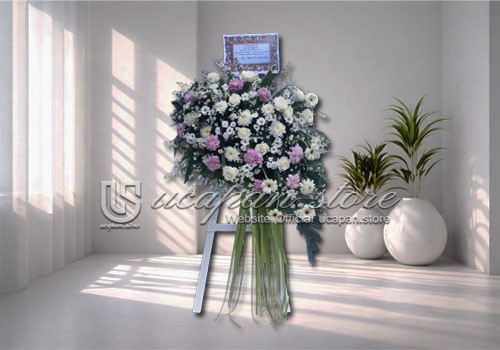 IMG-PRODUCT