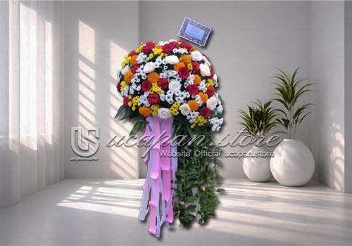 IMG-PRODUCT