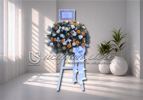 IMG-PRODUCT