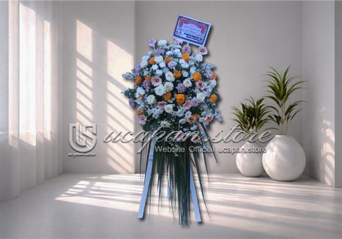 IMG-PRODUCT